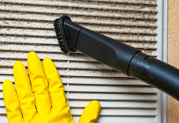 Best Local Air Duct Cleaning Services  in Holly Springs, MS